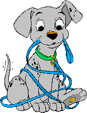 Positive Dog Trainer